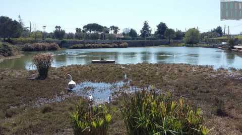 Conversano e i suoi laghi: i segreti di quegli insoliti e pittoreschi specchi d'acqua